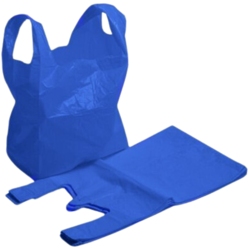 Medium Bags Blue (11