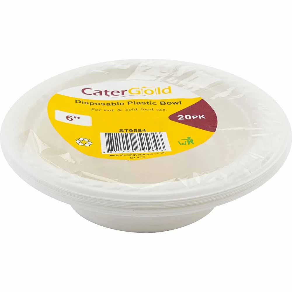 Reusable Plastic Bowl 6