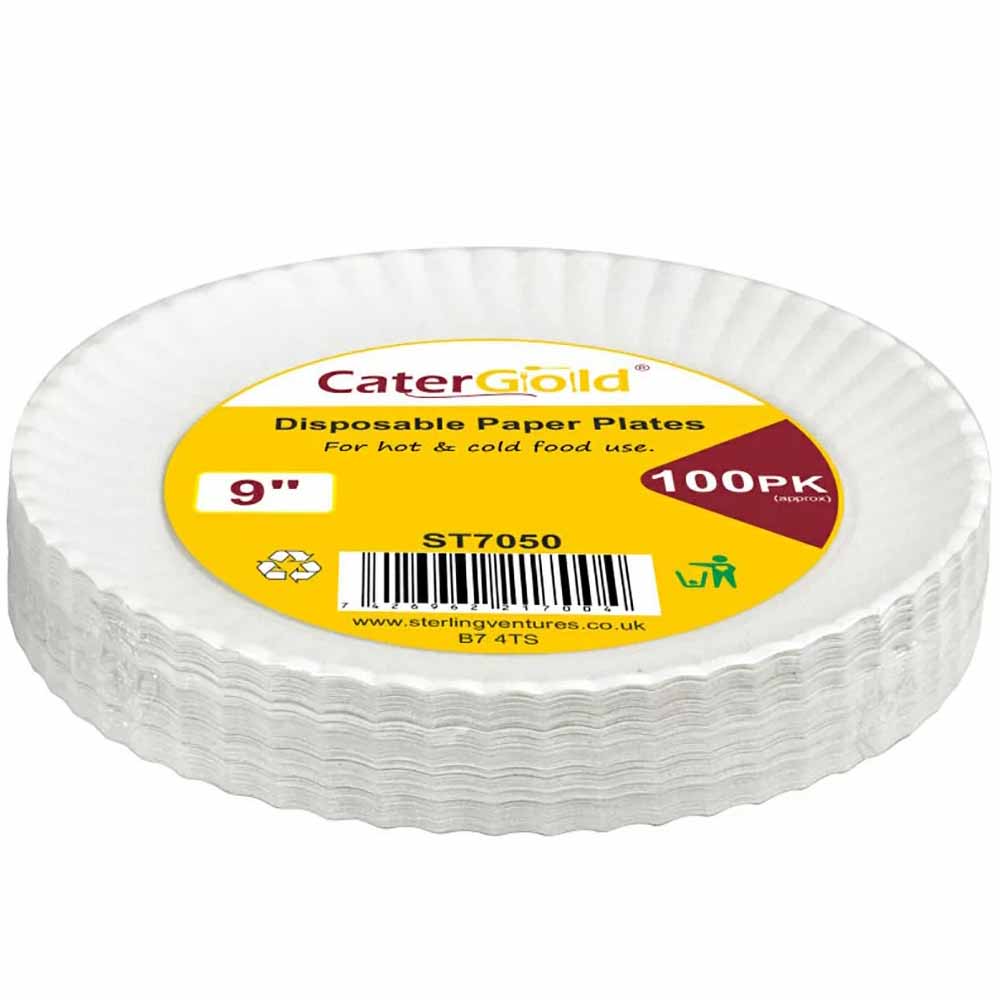 Paper Plate 9