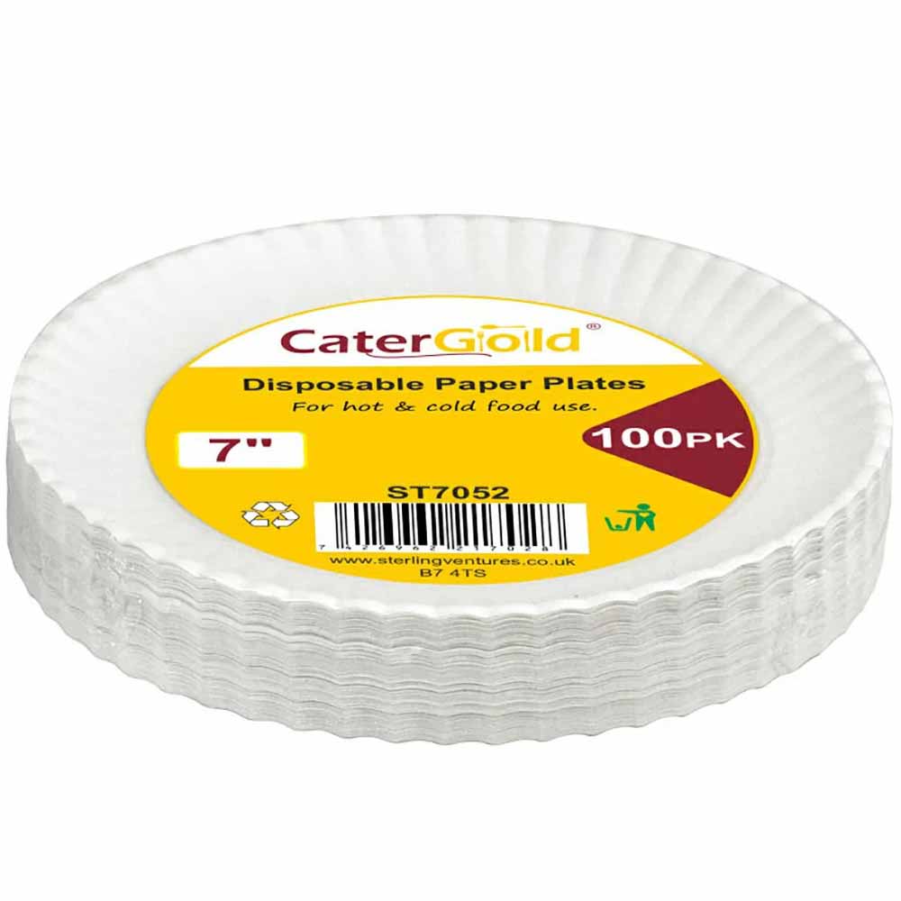 Paper Plate 7