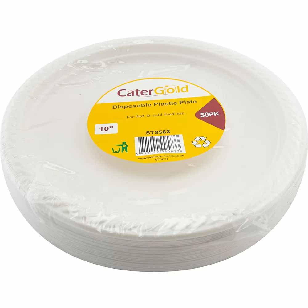 Reusable Plastic Plate 10