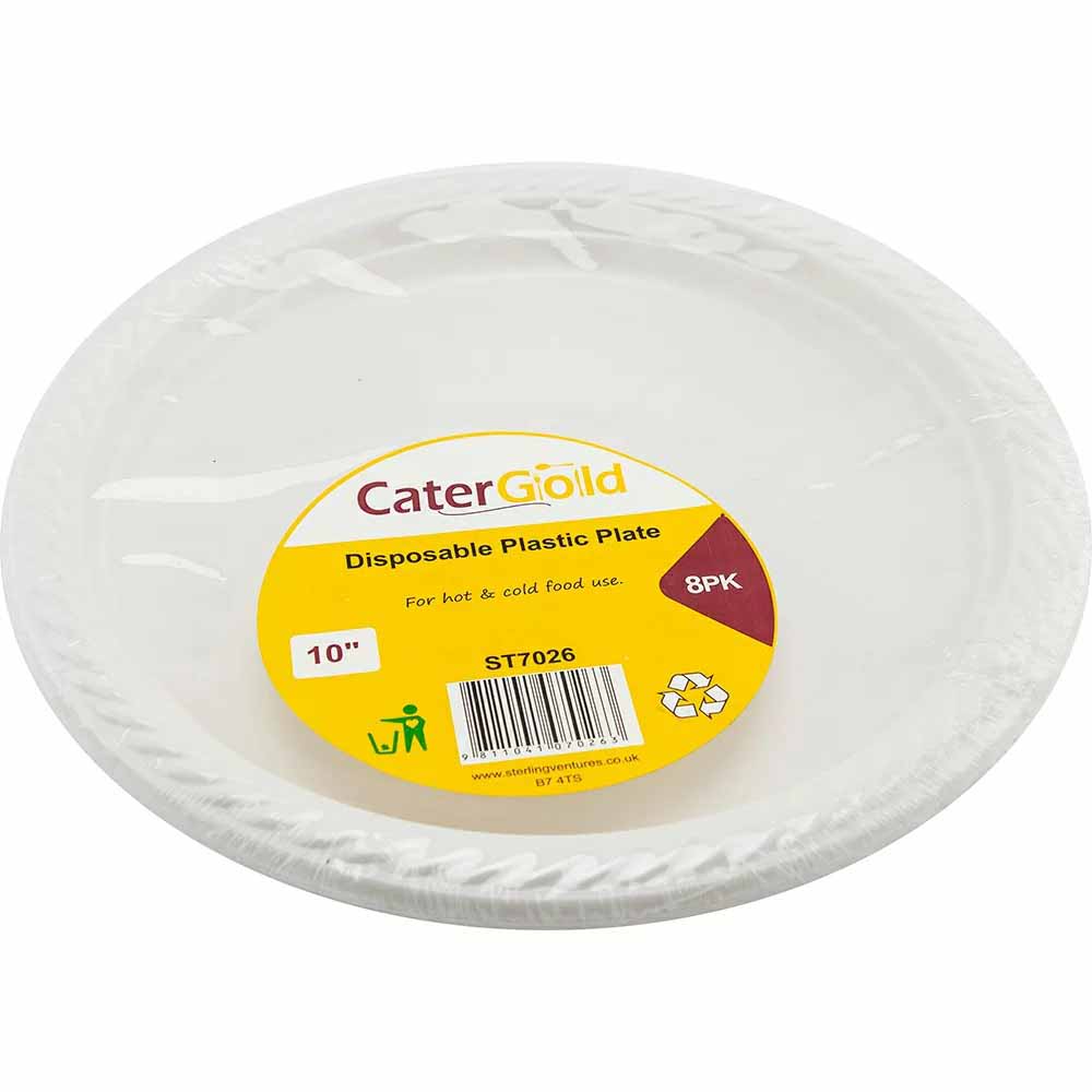 Reusable Plastic Plate 10