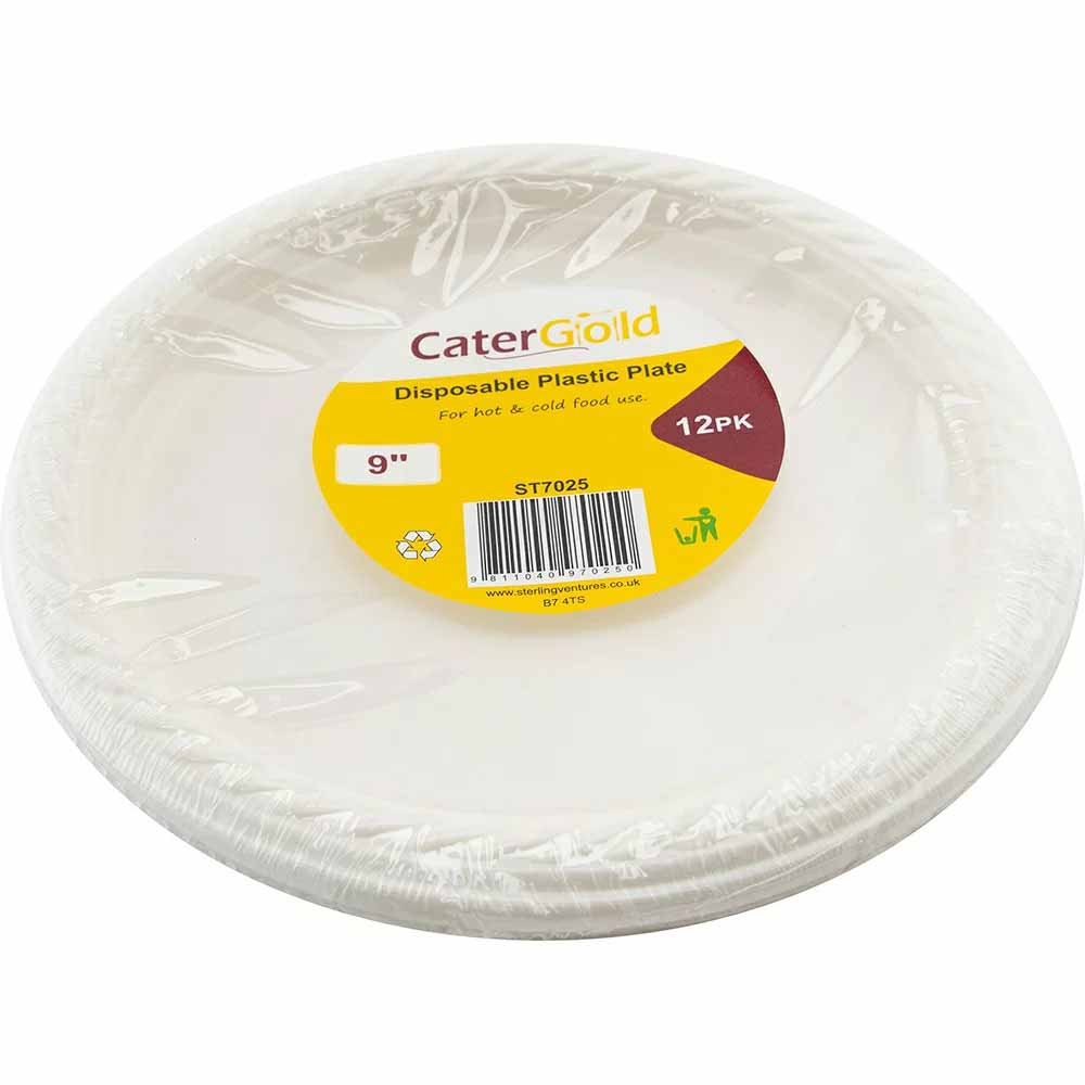 Reusable Plastic Plate 9