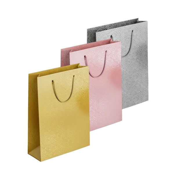 Assorted Medium Gift Bag